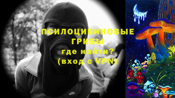 СК Балахна
