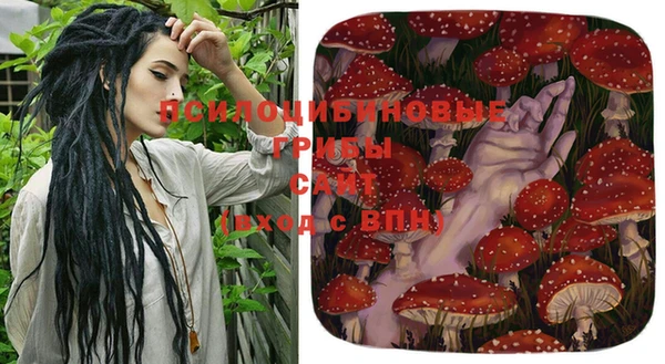 индика Балабаново