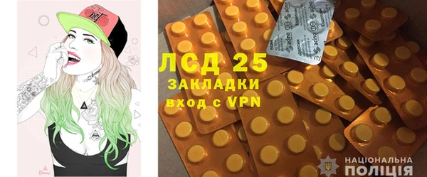 индика Балабаново