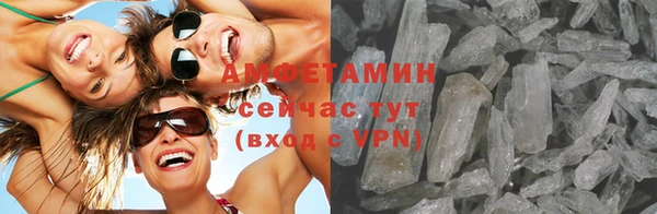индика Балабаново