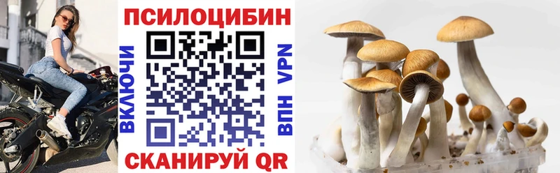 Псилоцибиновые грибы Cubensis  закладки  Игарка 
